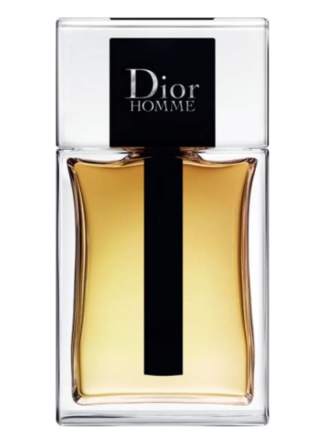 eau de homme dior|Dior Homme original vs 2020.